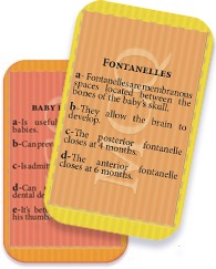 Pasted Graphic 1